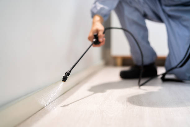 Professional exterminator conducting IPM assessment in Cheney